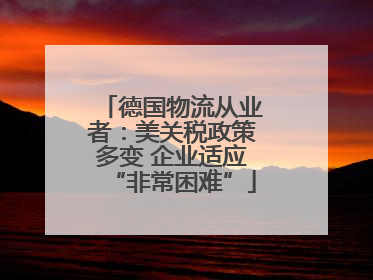 德国物流从业者：美关税政策多变 企业适应“非常困难”